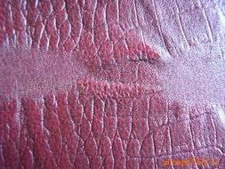 上海新徽皮革制品 人造革產(chǎn)品介紹與銷售指南