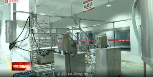 巴中這條生產線了不得,日處理鮮魔芋達30噸