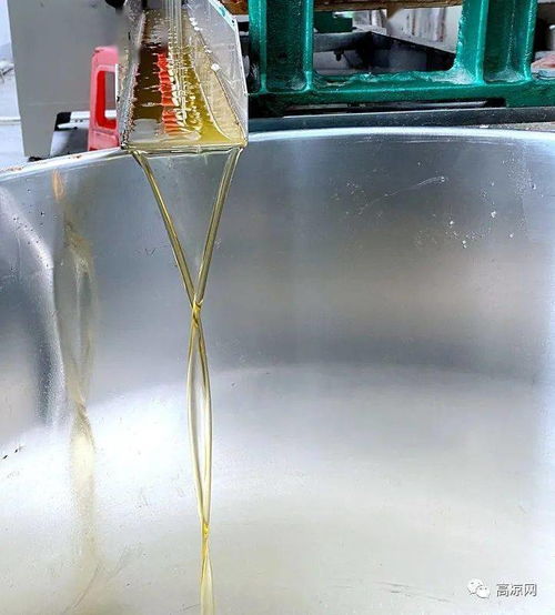 高州食品集團(tuán)又一力作 果鄉(xiāng)花生油廠 正式投產(chǎn),滴滴純正
