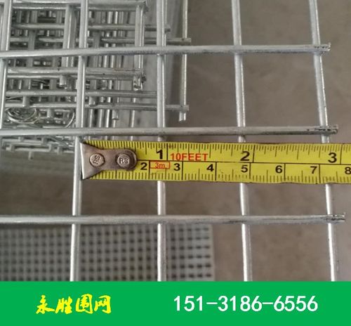 小方孔鍍鋅鴿棚圍網 河北永勝絲網制品廠